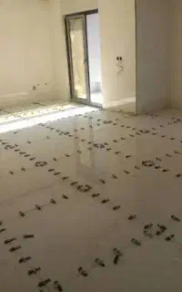 کارگرکاشی کاری