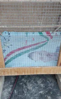 قفس
