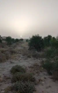 جذب نیروی خدماتی دهیاری