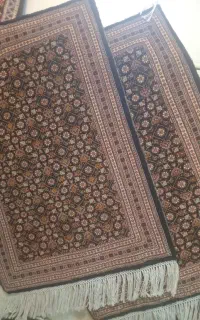 پشتی یا پادری ماهی