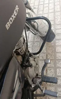 باکسر اصلی معاوضه فقط با طرح ایروکس