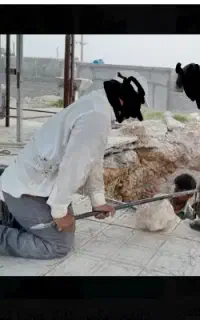 کنتراتی صفر تا صد ساختمان