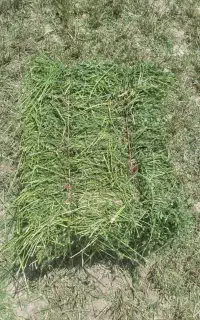 یونجه خالص
