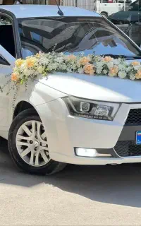 تشریفات عروسی چمن مصنوعی باند ریسه ورودی عروس