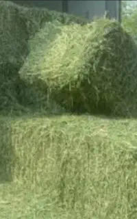 پرس یونجه مرغوب