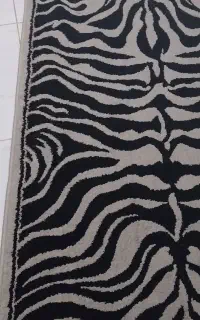پادری