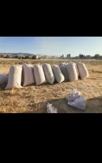 فروش کاه گندم خرمنکوب