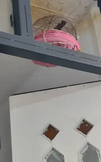 سهره کاکولی نر بخون