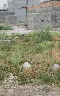 زمین تجاری مسکونی