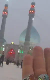 همسفر کربلا