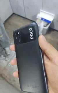 پکو ام تری