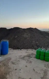 کودگاوی ( دامی) و مرغی پوسیده و فرآوری شده
