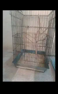 ۴ قفس پرنده
