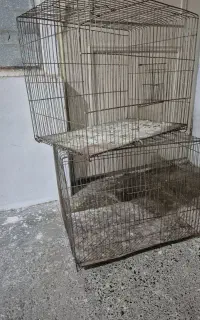 قفس دستدوم ۵۰ در ۳۱ در ۳۸