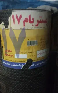 ایزوگام