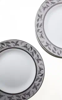چینی زرین سیلورسان نو،کامل+اقلام اضافه،داخل کارتن