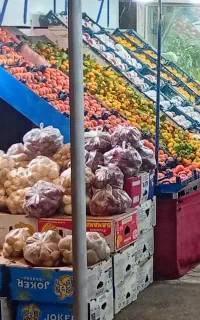 شاگرد میوه فروشی