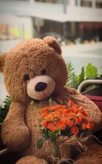 سگه فیندو (فه‌ندی)