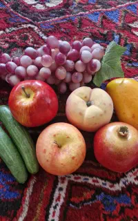 میوه مصنوعی