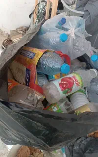 قوم قومه