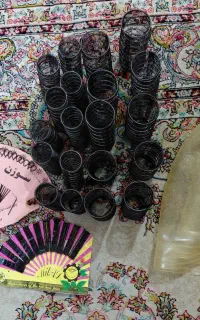 بیگودی فنری