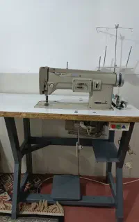 دانوک سبزودوچ تیپیکال سالم
