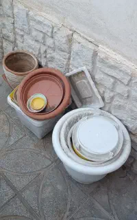 گلدان