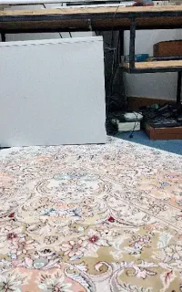 باندچوبی ونوس