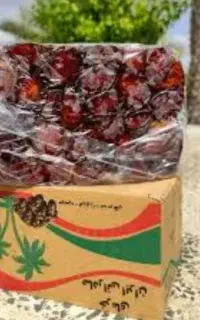 خرمای کبکاب  / درجه یک