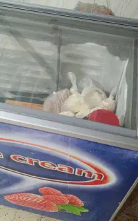 یخچال فریزر