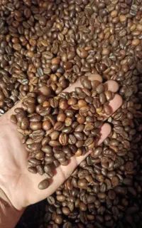 پخش عمده و خورده قهوه جهان