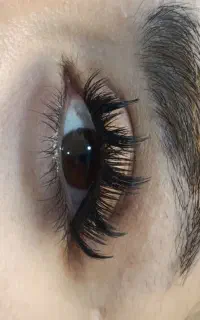 پاکسازی