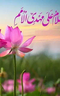 ۰۹۱۳۴۰۷۷۲۵۵
