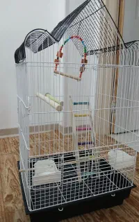 قفس پرنده