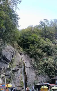 گروه دوستانه