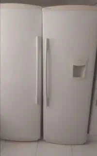 یخچال دوقلو