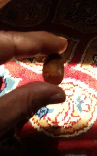سکه والماس ریز وگل صدفی قاجاری و یاقوت  مختلف است