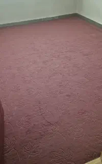 موکت