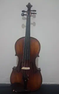 ویولن
