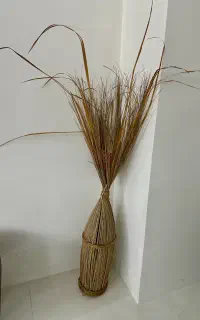 آباژور حصیری بوهو