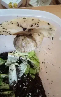حلزون