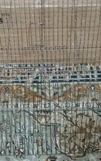 قفس بزرگ و سالم
