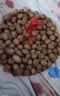 گردو تویسرکان