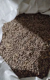 گاودانه