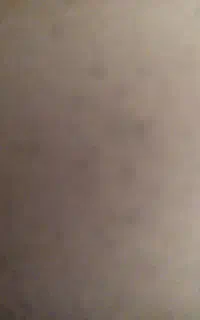 09131871601
