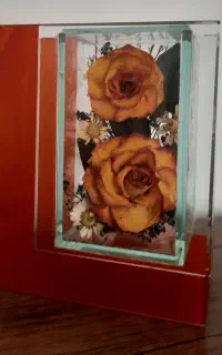 باکس شیشه ای گل خشک