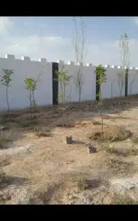 بنایی صفر تا ۱۰۰