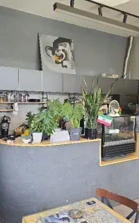استخدام باریستا