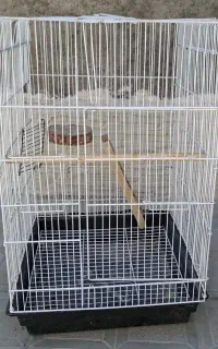 قفس کاسکو