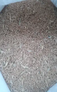 گندم فروشی